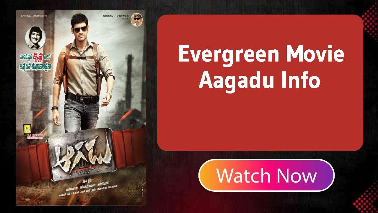 Aagadu